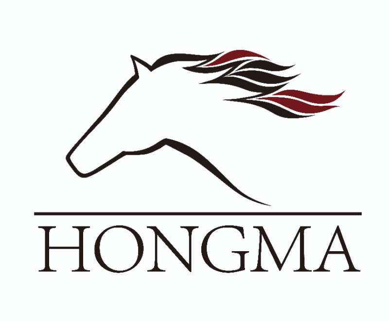 安徽鸿马保安服务有限公司