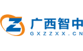 智中信息技术logo