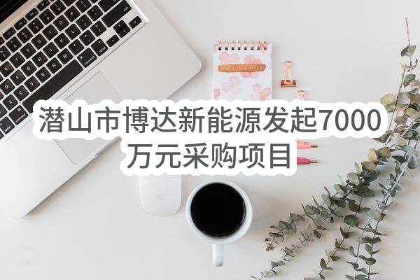 潜山市博达新能源有限公司最新发起7000万元采购项目