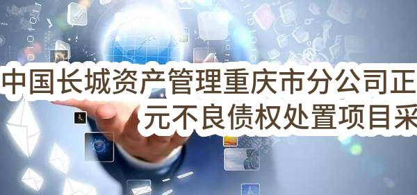 中国长城资产管理股份有限公司重庆市分公司正在进行4800万元不良债权处置项目采购