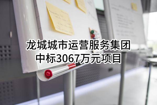 龙城城市运营服务集团有限公司中标3067万元项目