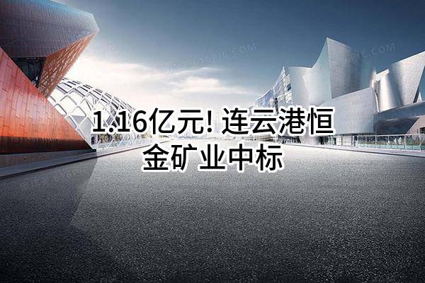 1.16亿元! 连云港恒金矿业有限公司中标