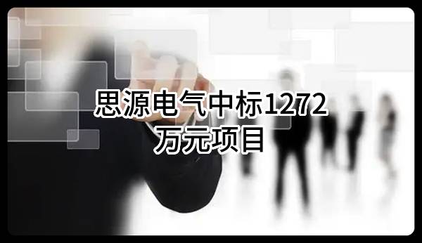 思源电气股份有限公司中标1272万元项目