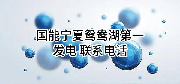 国能宁夏鸳鸯湖第一发电有限公司 联系电话