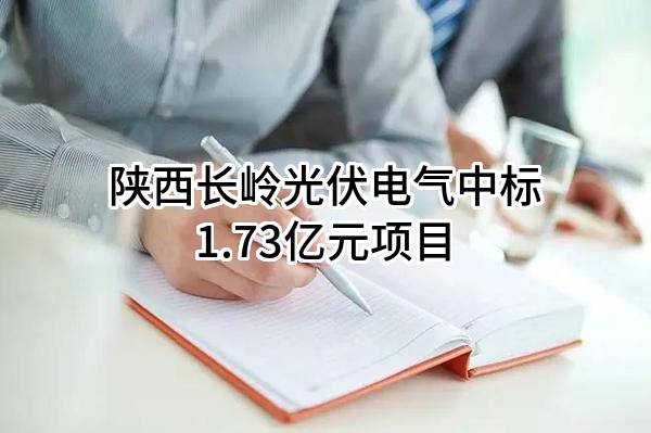 陕西长岭光伏电气有限公司中标1.73亿元项目