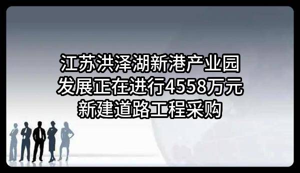 江苏洪泽湖新港产业园发展有限公司正在进行4558万元新建道路工程采购