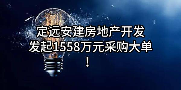 定远安建房地产开发有限公司最新发起1558万元采购大单！