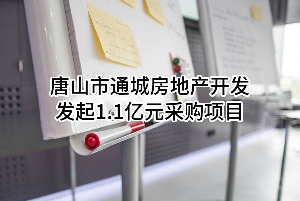 唐山市通城房地产开发有限公司最新发起1.1亿元采购项目