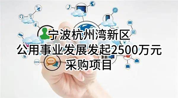 宁波杭州湾新区公用事业发展有限公司最新发起2500万元采购项目