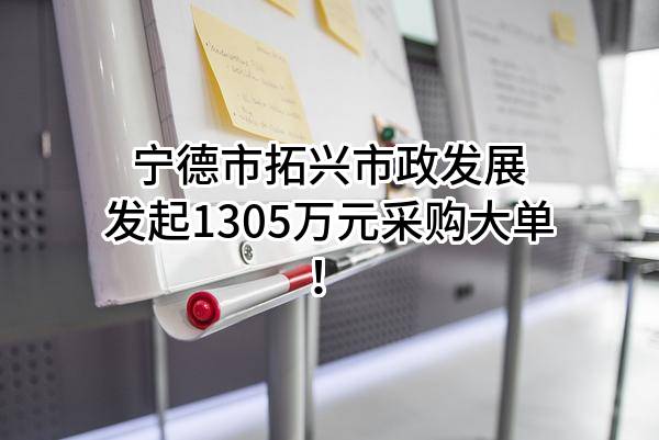 宁德市拓兴市政发展有限公司最新发起1305万元采购大单!
