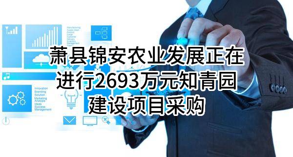 萧县锦安农业发展有限公司正在进行2693万元知青园建设项目采购