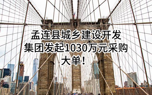 孟连县城乡建设开发集团有限公司最新发起1030万元采购大单!