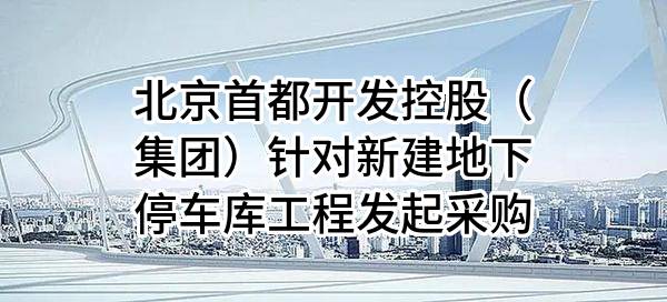 北京首都开发控股(集团)有限公司针对新建地下停车库工程发起采购