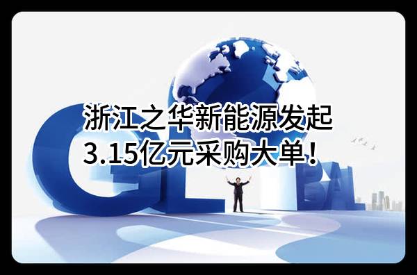 浙江之华新能源有限公司最新发起3.15亿元采购大单!