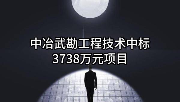 中冶武勘工程技术有限公司中标3738万元项目