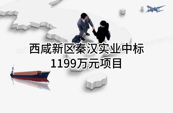 西咸新区秦汉实业有限公司中标1199万元项目