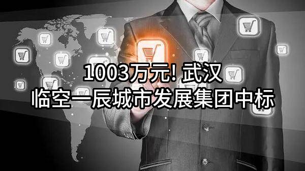 1003万元! 武汉临空一辰城市发展集团有限公司中标
