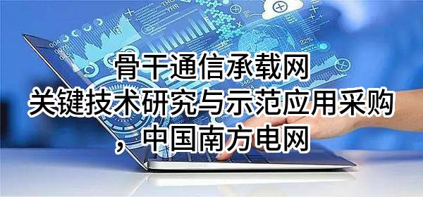 骨干通信承载网关键技术研究与示范应用采购，中国南方电网有限责任公司