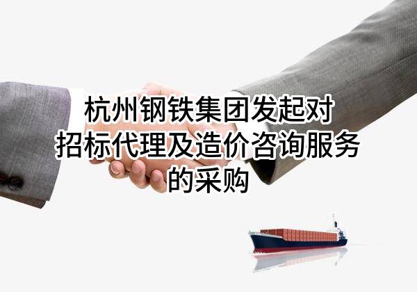 杭州钢铁集团有限公司发起对招标代理及造价咨询服务的采购