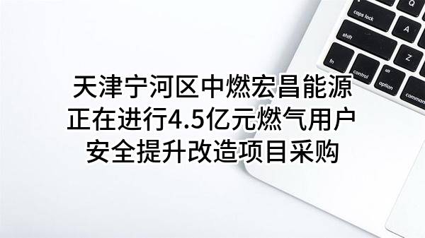 天津宁河区中燃宏昌能源有限公司正在进行4.5亿元燃气用户安全提升改造项目采购