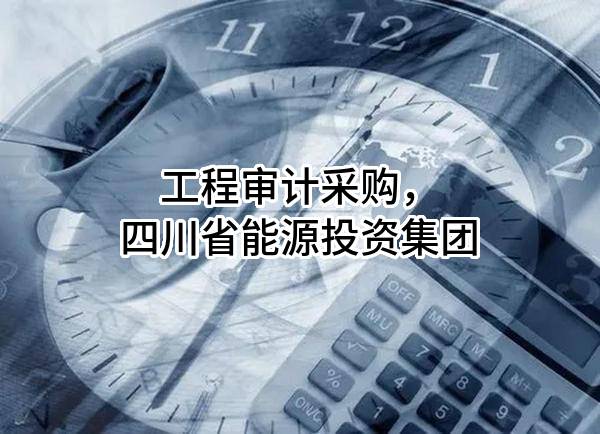 工程审计采购，四川省能源投资集团有限责任公司