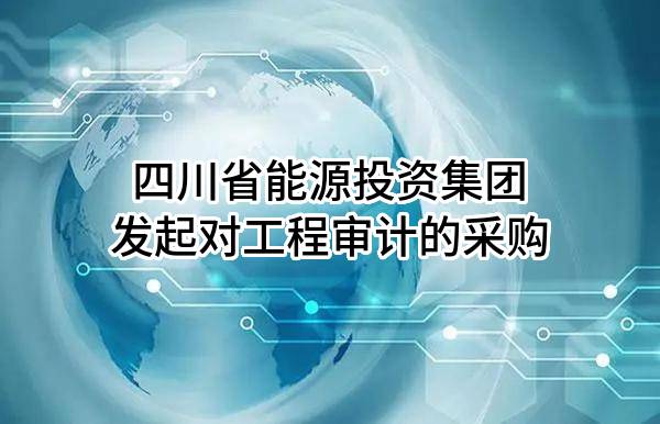 四川省能源投资集团有限责任公司发起对工程审计的采购