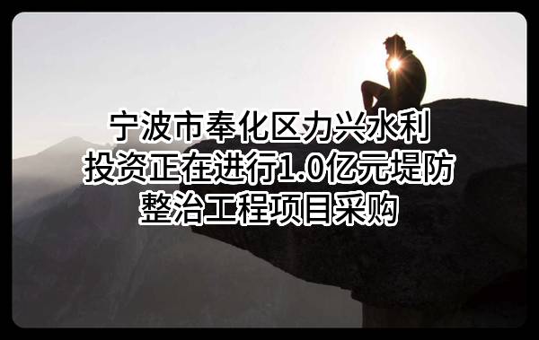 宁波市奉化区力兴水利投资有限责任公司正在进行1.0亿元堤防整治工程项目采购