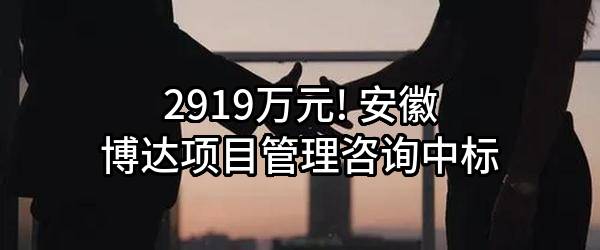 2919万元! 安徽博达项目管理咨询有限公司中标