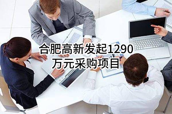 合肥高新股份有限公司最新发起1290万元采购项目