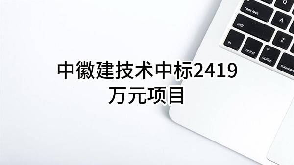 中徽建技术有限公司中标2419万元项目