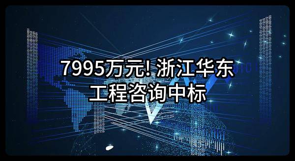 7995万元! 浙江华东工程咨询有限公司中标