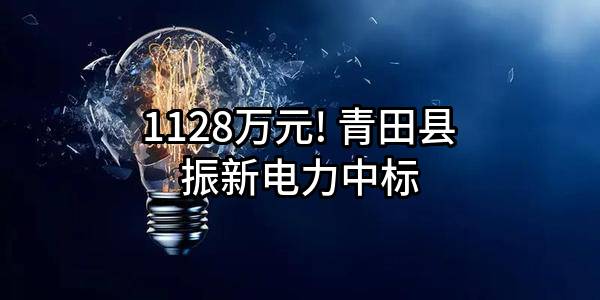 1128万元! 青田县振新电力有限公司中标