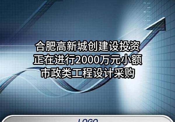 合肥高新城创建设投资有限公司正在进行2000万元小额市政类工程设计采购