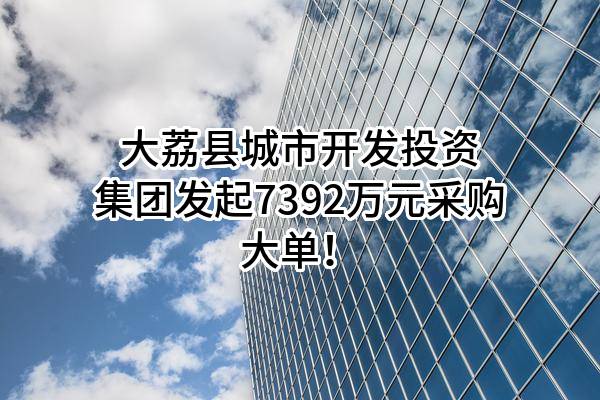 大荔县城市开发投资集团有限公司最新发起7392万元采购大单!