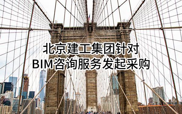 北京建工集团有限责任公司针对BIM咨询服务发起采购