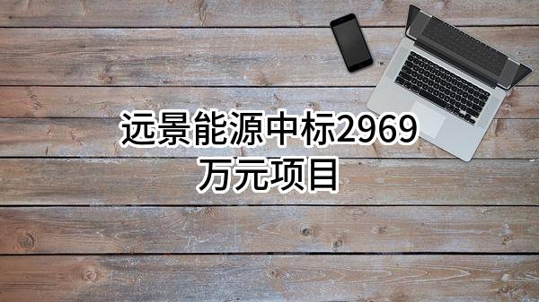 远景能源有限公司中标2969万元项目
