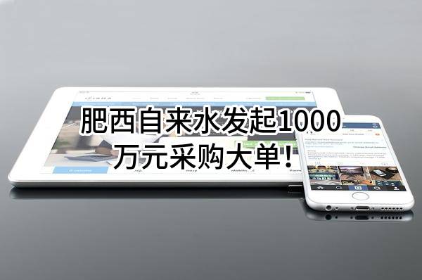 肥西自来水有限公司最新发起1000万元采购大单!