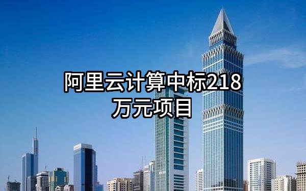 阿里云计算有限公司中标218万元项目