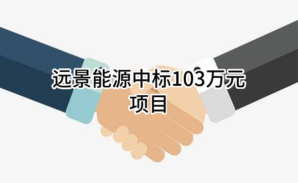 远景能源有限公司中标103万元项目