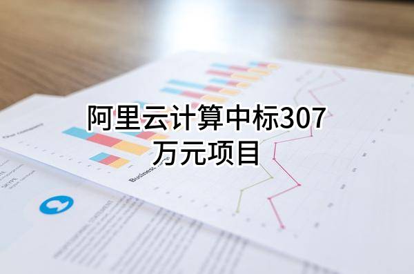 阿里云计算有限公司中标307万元项目