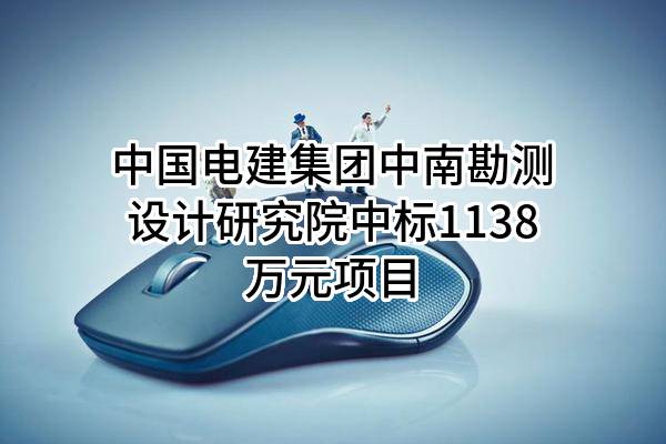 中国电建集团中南勘测设计研究院有限公司中标1138万元项目