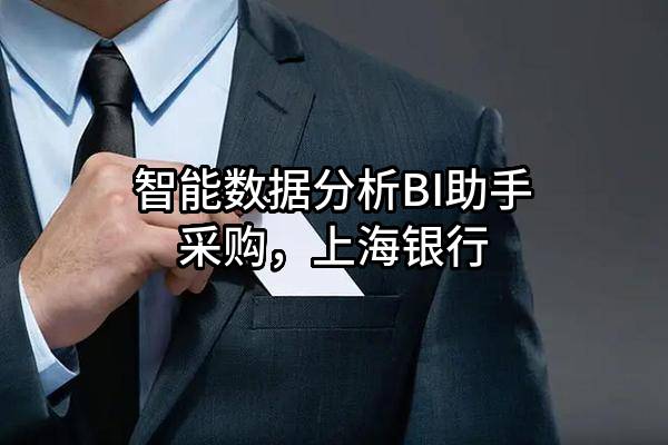 智能数据分析BI助手采购，上海银行股份有限公司
