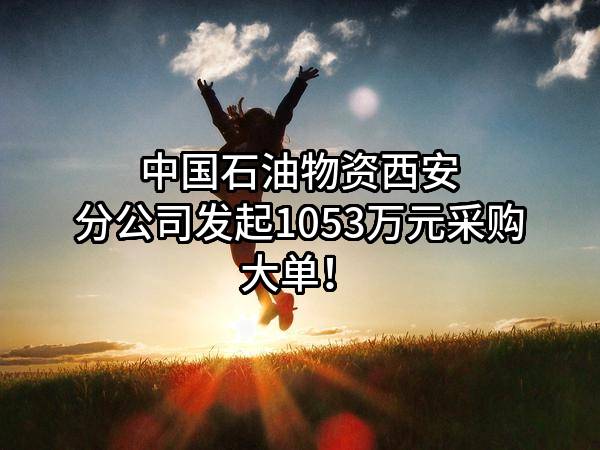 中国石油物资有限公司西安分公司最新发起1053万元采购大单！
