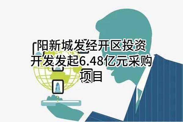 阳新城发经开区投资开发有限公司最新发起6.48亿元采购项目
