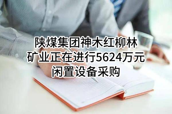 陕煤集团神木红柳林矿业有限公司正在进行5624万元闲置设备采购