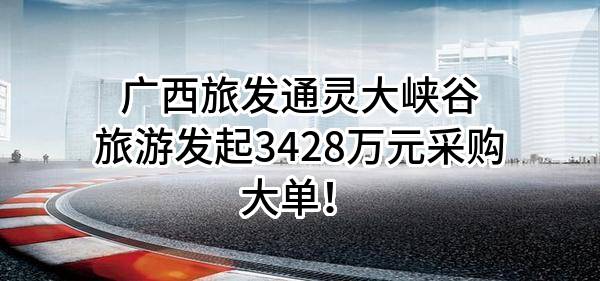 广西旅发通灵大峡谷旅游有限责任公司最新发起3428万元采购大单！