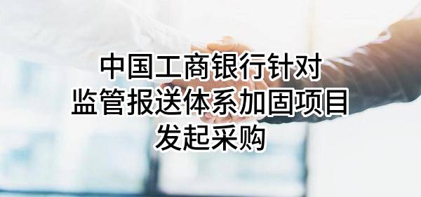 中国工商银行股份有限公司针对监管报送体系加固项目发起采购