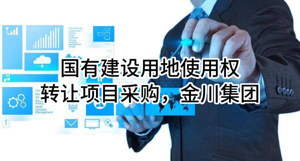 国有建设用地使用权转让项目采购，金川集团股份有限公司