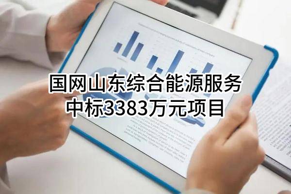 国网山东综合能源服务有限公司中标3383万元项目