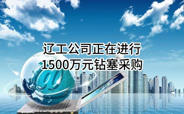 辽工公司正在进行1500万元钻塞采购